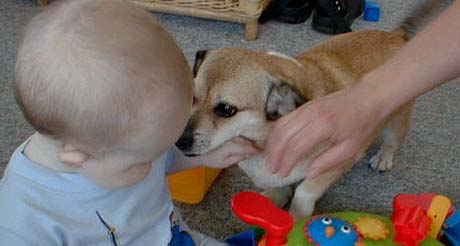 buddy3